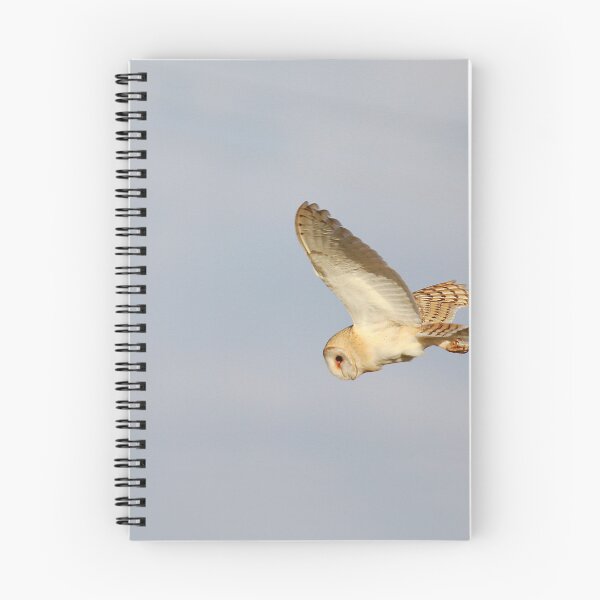 Item preview, Barn owl on the hunt designed and sold by miradorpictures.