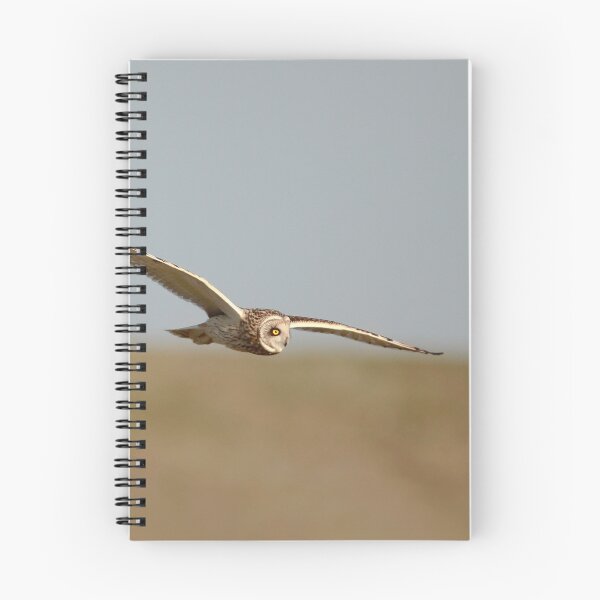 Item preview, Shortie swoop  designed and sold by miradorpictures.