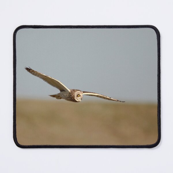 Item preview, Shortie swoop  designed and sold by miradorpictures.