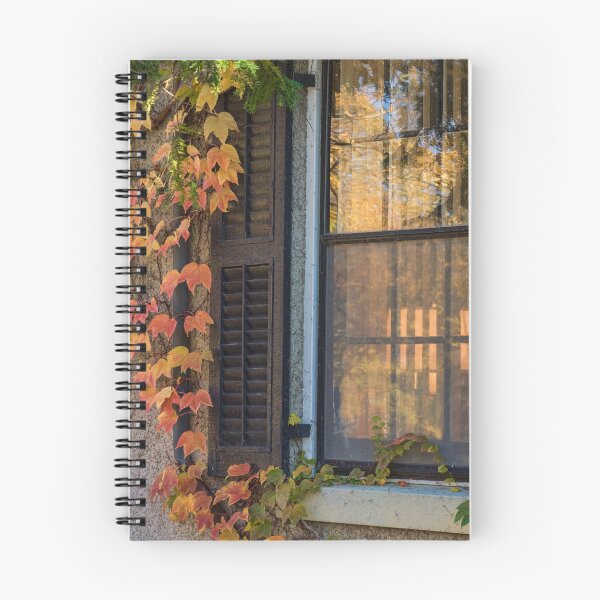 Item preview, Autumn Leaves Framing a Window designed and sold by Gerda Grice Photography.