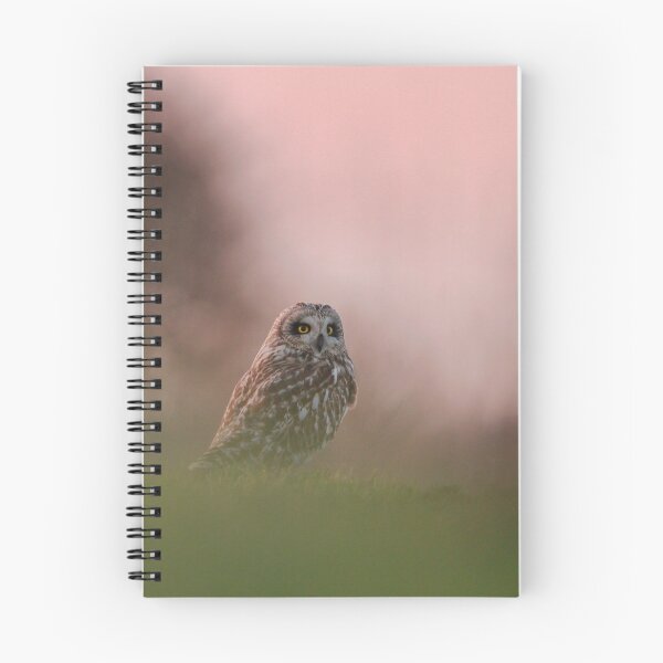 Item preview, Sighted  designed and sold by miradorpictures.
