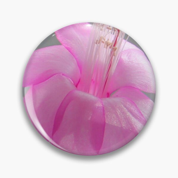Item preview, Magical Christmas Cactus designed and sold by vette.