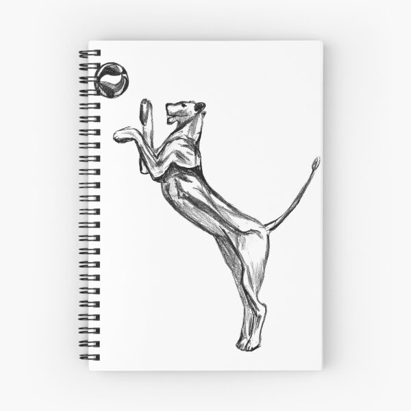 Item preview, Lioness Playing Volleyball Graphite Sketch designed and sold by Dina's Fine Arts.
