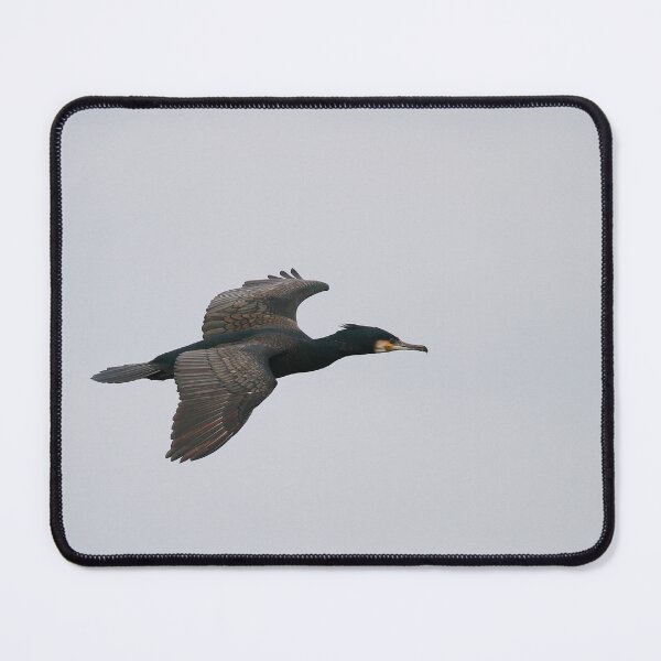 Item preview, Soaring  designed and sold by miradorpictures.