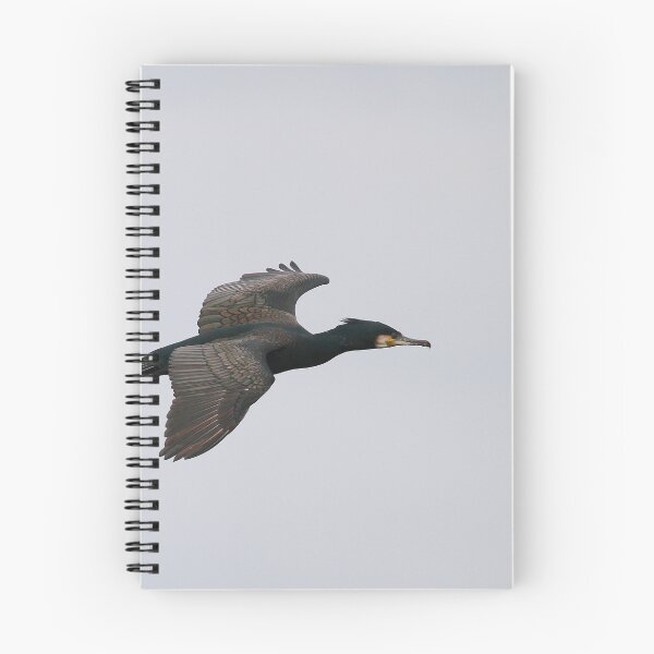 Item preview, Soaring  designed and sold by miradorpictures.