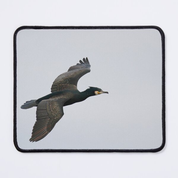 Item preview, Banking flight  designed and sold by miradorpictures.