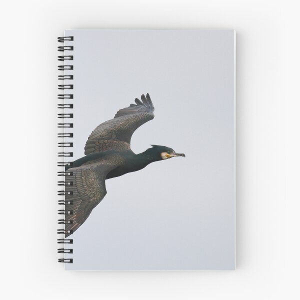 Item preview, Banking flight  designed and sold by miradorpictures.