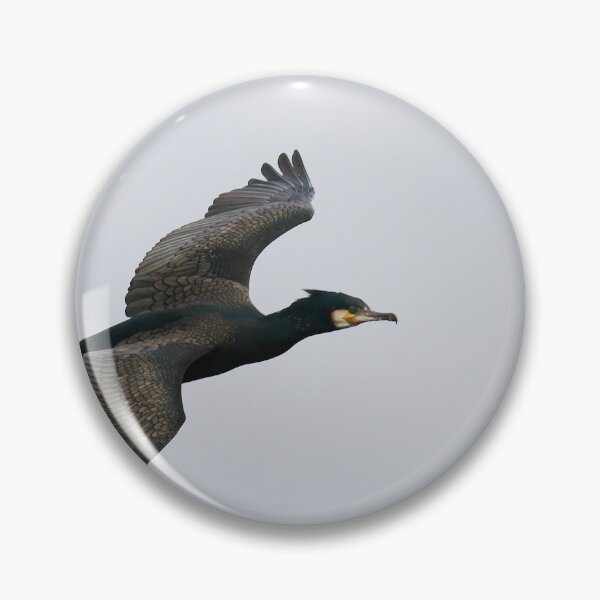 Item preview, Banking flight  designed and sold by miradorpictures.