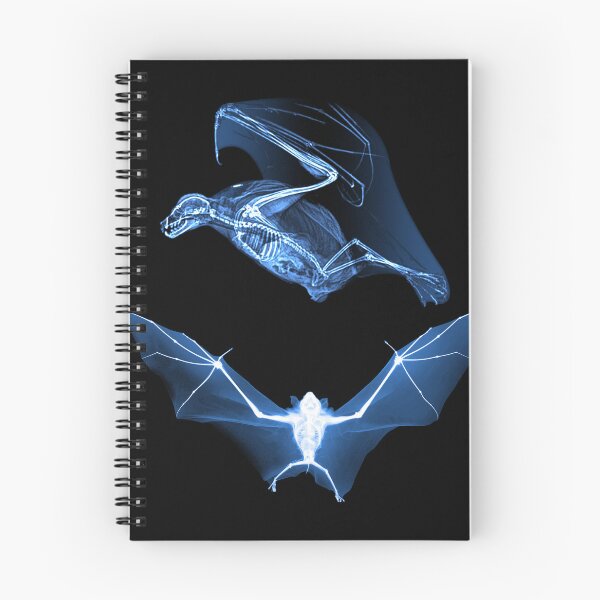 Item preview, Inner Life of Bats designed and sold by YouAreHereArt.