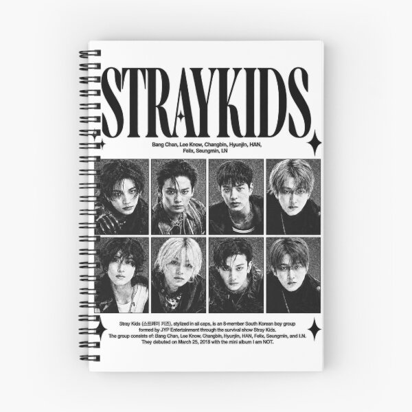 Item preview, Stray Kids designed and sold by mynarasolwy.
