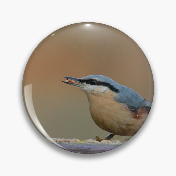 Item preview, Nuts  designed and sold by miradorpictures.