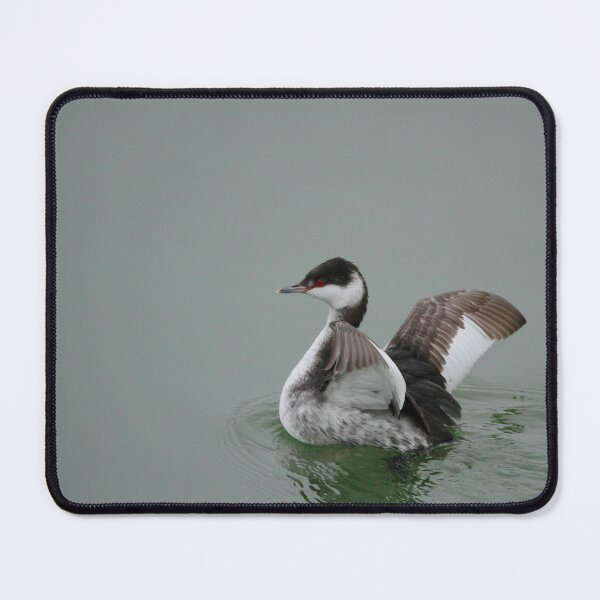 Item preview, In a flap designed and sold by miradorpictures.