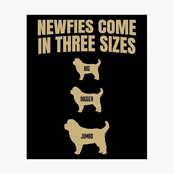 Item preview, Newfies Come In Three Sizes designed and sold by Dago345.