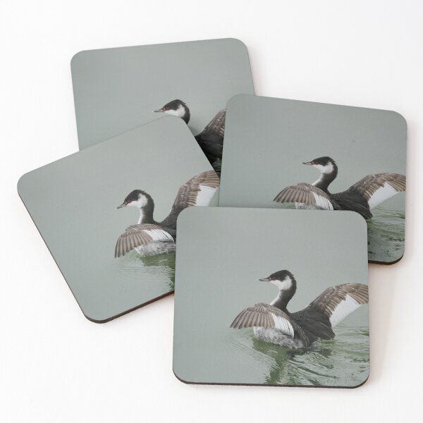 Item preview, Ready for take off designed and sold by miradorpictures.