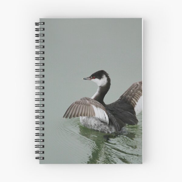 Item preview, Ready for take off designed and sold by miradorpictures.