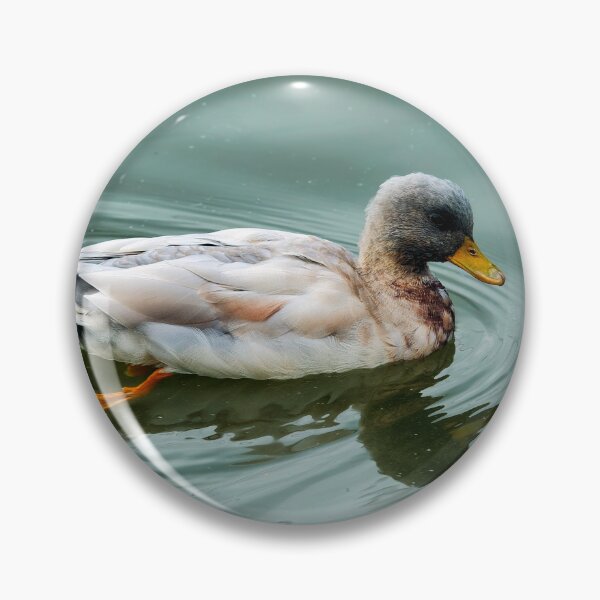 Item preview, Mallard Duck Swimming in Soft Blue-Green Water designed and sold by Dorset Girl.