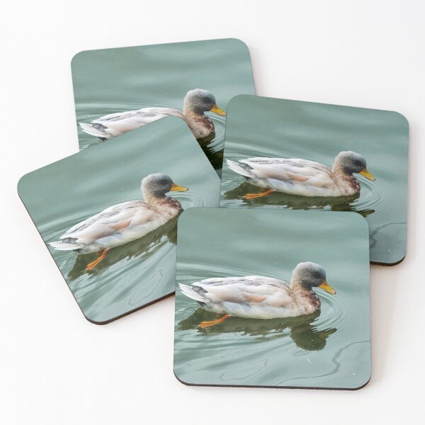 Item preview, Mallard Duck Swimming in Soft Blue-Green Water designed and sold by Dorset Girl.