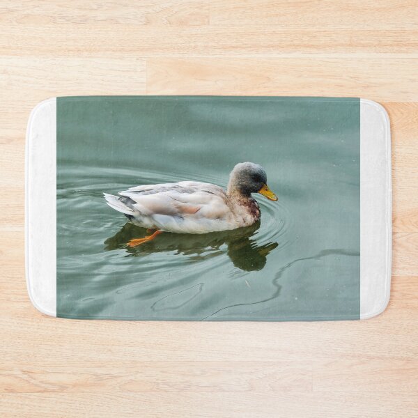 Item preview, Mallard Duck Swimming in Soft Blue-Green Water designed and sold by Dorset Girl.