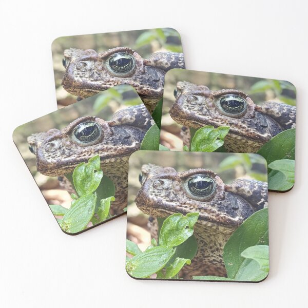 Item preview, Toad in Green Macro Nature Photography designed and sold by PicturePic.