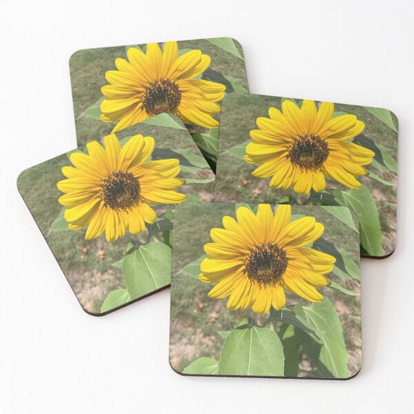 Item preview, Sunflower  designed and sold by Amanda1775.