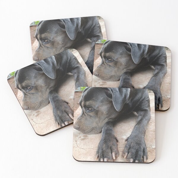 Item preview, Cute Cane Corso - Sand on Face Dog Portrait designed and sold by PicturePic.