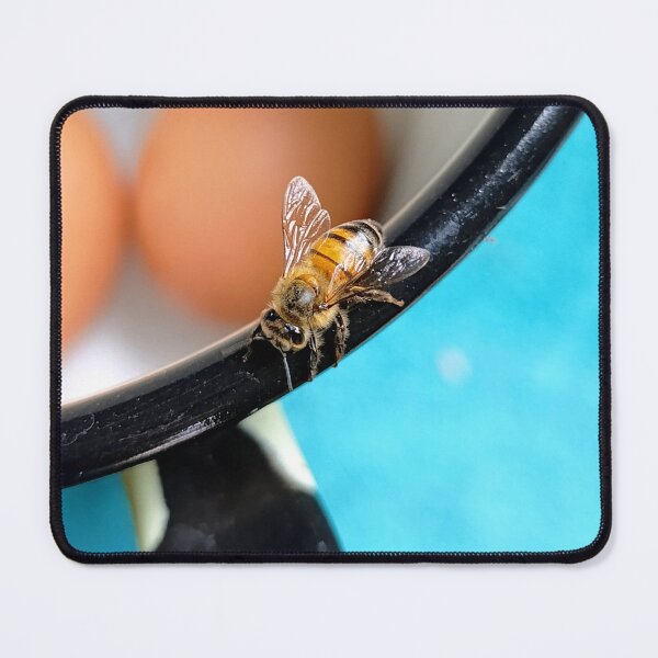 Item preview, Busy bee at the cooking pot, close-up designed and sold by PicturePic.