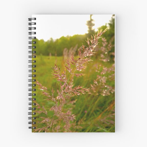 Item preview, Golden Hour Dewdrops on Wild Meadow Grass designed and sold by Levorr.