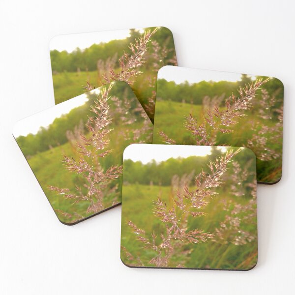 Item preview, Golden Hour Dewdrops on Wild Meadow Grass designed and sold by Levorr.