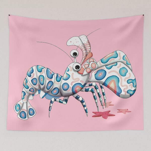 Item preview, Harlequin Shrimp and Starfish designed and sold by Karin Taylor.