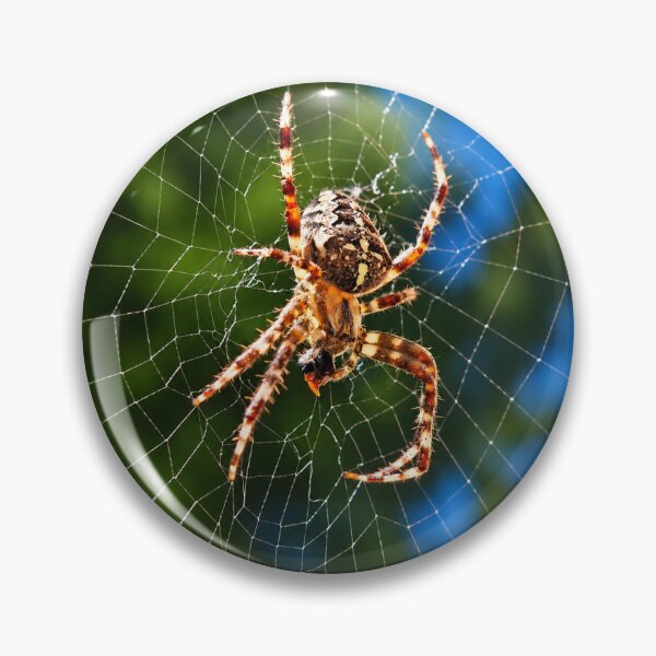 Item preview, Orb Weaver Spider on Web – Macro Nature Photography designed and sold by GusiaTreasures.