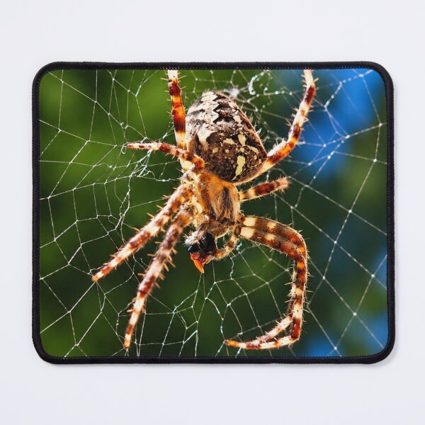 Item preview, Orb Weaver Spider on Web – Macro Nature Photography designed and sold by GusiaTreasures.