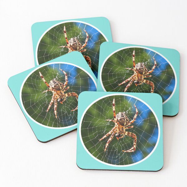 Item preview, Orb Weaver Spider on Web – Macro Nature Photography designed and sold by GusiaTreasures.