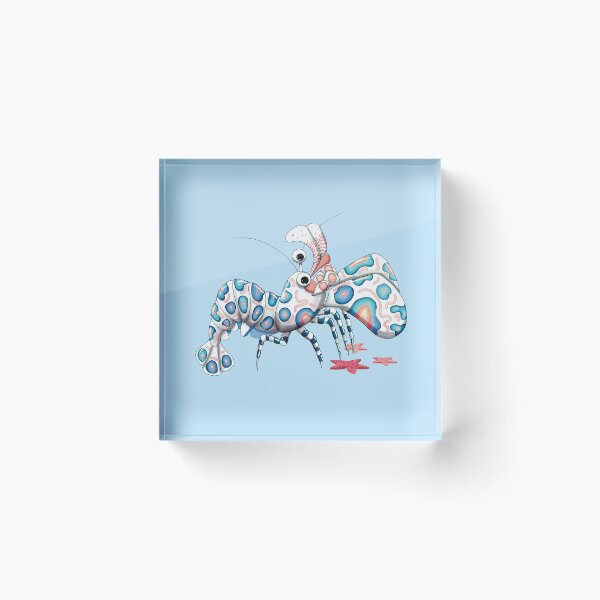 Item preview, Harlequin Shrimp and Starfish designed and sold by Karin Taylor.