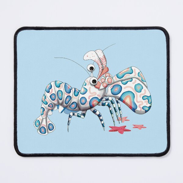 Item preview, Harlequin Shrimp and Starfish designed and sold by Karin Taylor.