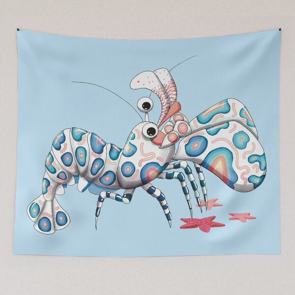 Item preview, Harlequin Shrimp and Starfish designed and sold by Karin Taylor.