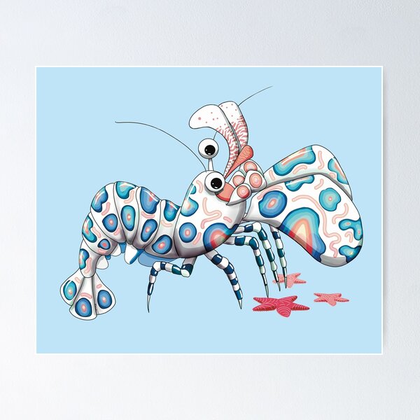 Item preview, Harlequin Shrimp and Starfish designed and sold by Karin Taylor.
