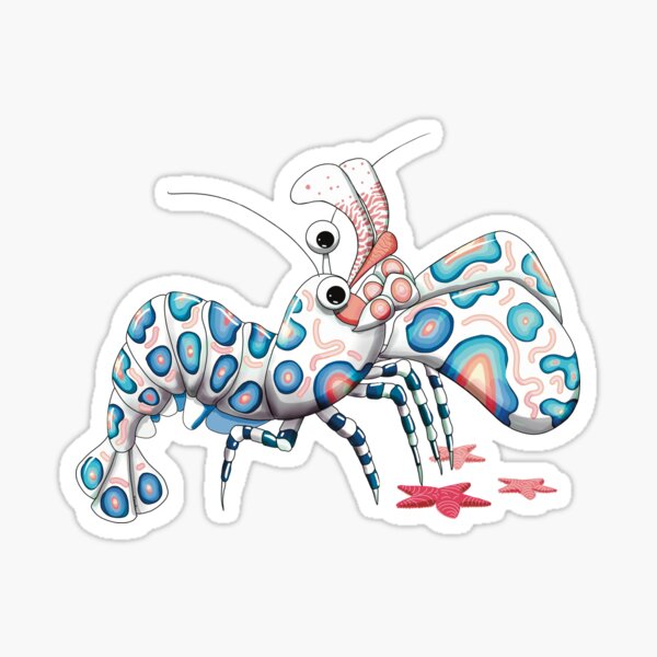 Item preview, Harlequin Shrimp and Starfish designed and sold by Karin Taylor.