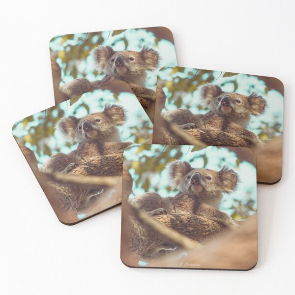 Item preview, Wild Koala Portrait - Brisbane Australia | Part 2 designed and sold by AuraInkSC.