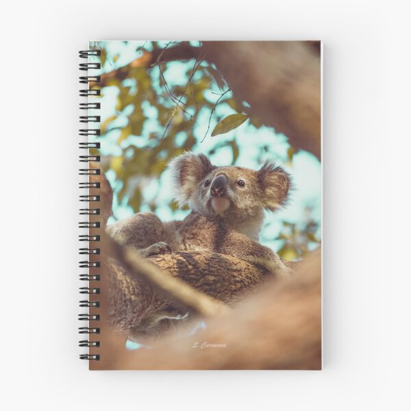 Item preview, Wild Koala Portrait - Brisbane Australia | Part 2 designed and sold by AuraInkSC.