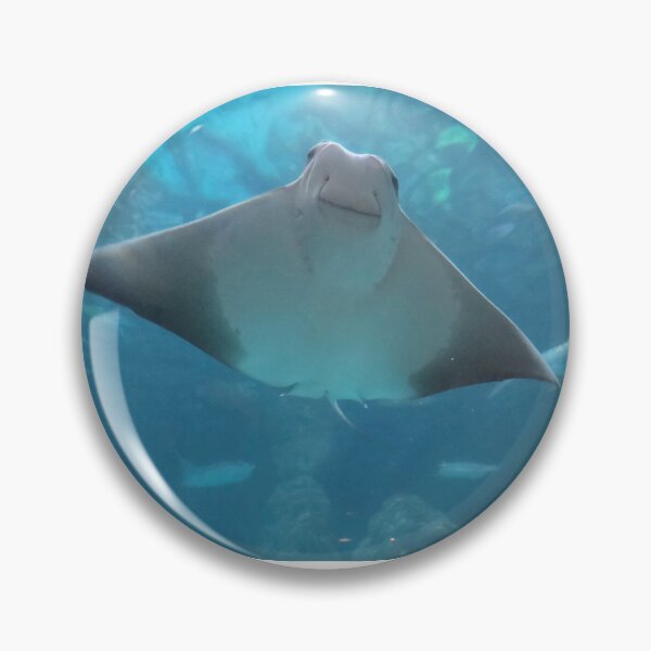 Item preview, Sting Ray Smile designed and sold by mariah6930.