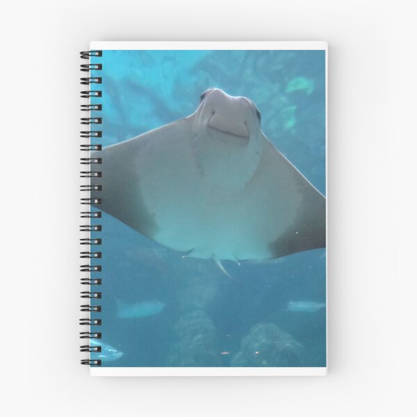 Item preview, Sting Ray Smile designed and sold by mariah6930.