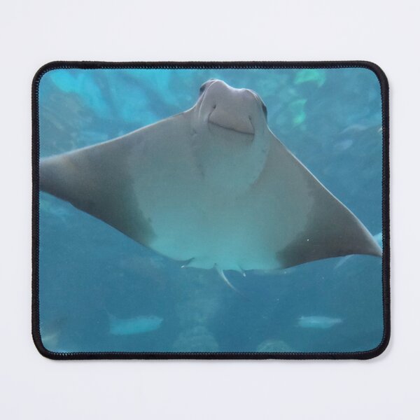 Item preview, Sting Ray Smile designed and sold by mariah6930.
