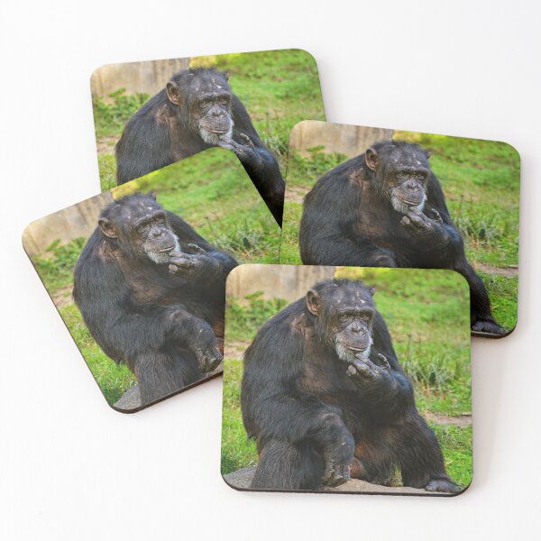 Item preview, Contemplative Chimpanzee in Natural Habitat designed and sold by Savannah Gibbs.