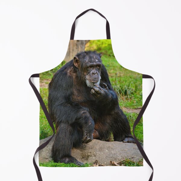 Item preview, Contemplative Chimpanzee in Natural Habitat designed and sold by Savannah Gibbs.