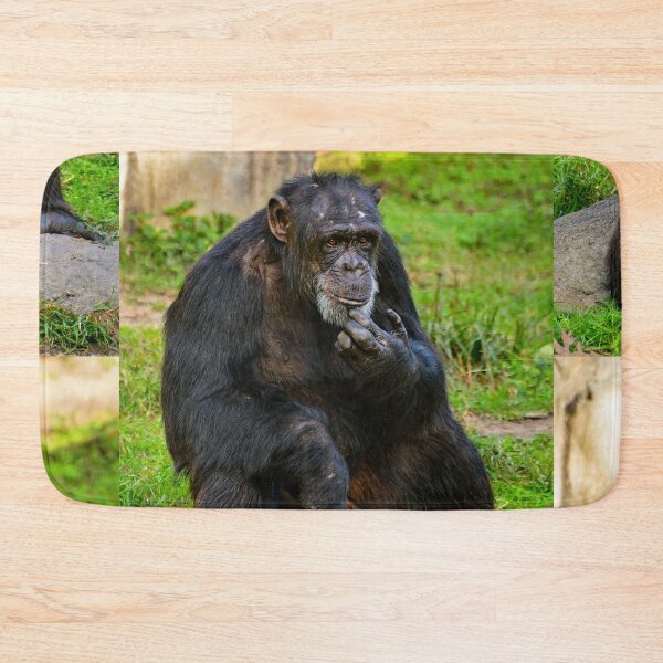 Item preview, Contemplative Chimpanzee in Natural Habitat designed and sold by Savannah Gibbs.