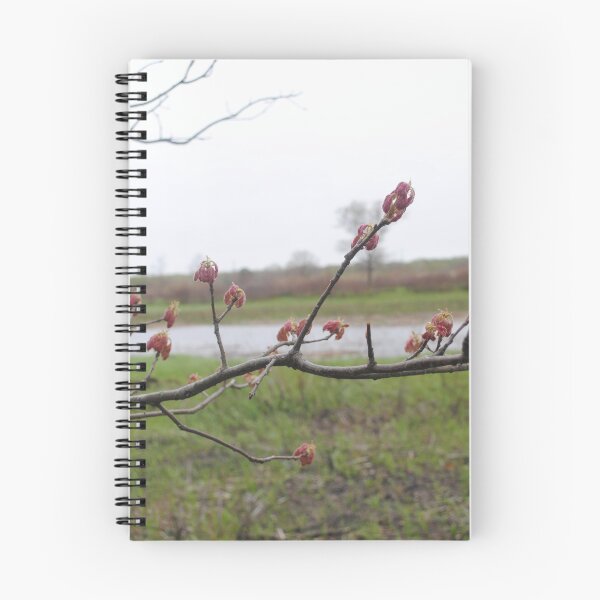 Item preview, Illinois Landscape 1 designed and sold by bloomingvine.