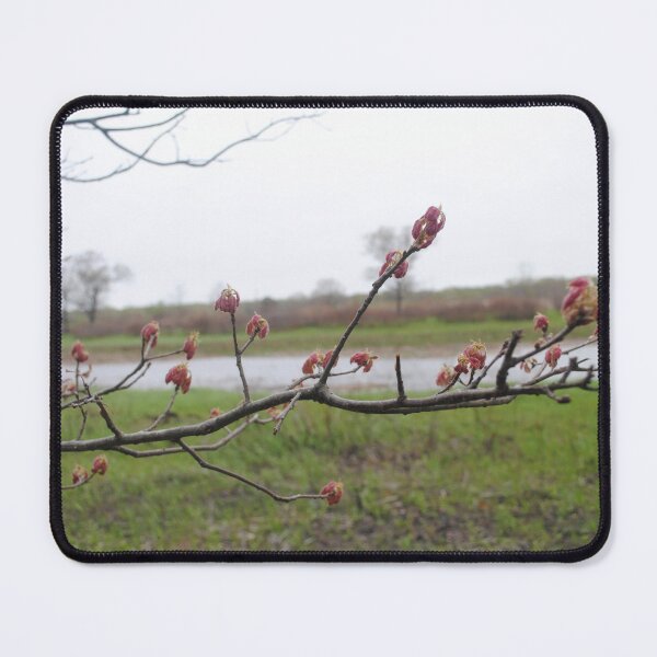 Item preview, Illinois Landscape 1 designed and sold by bloomingvine.