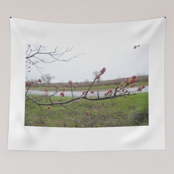 Item preview, Illinois Landscape 1 designed and sold by bloomingvine.