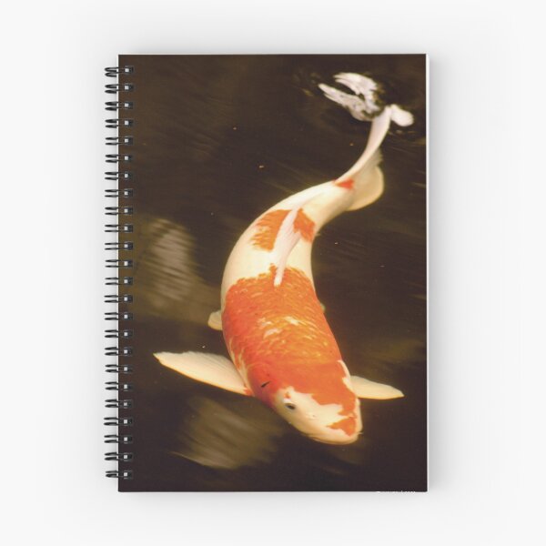Item preview, Carp designed and sold by Dany3l.