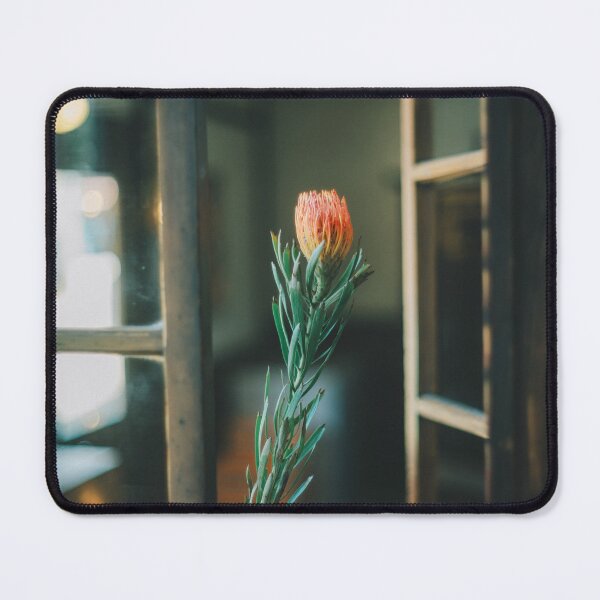 Item preview, Stories Action Printing Preserve Heritage designed and sold by Burcukiefsi.
